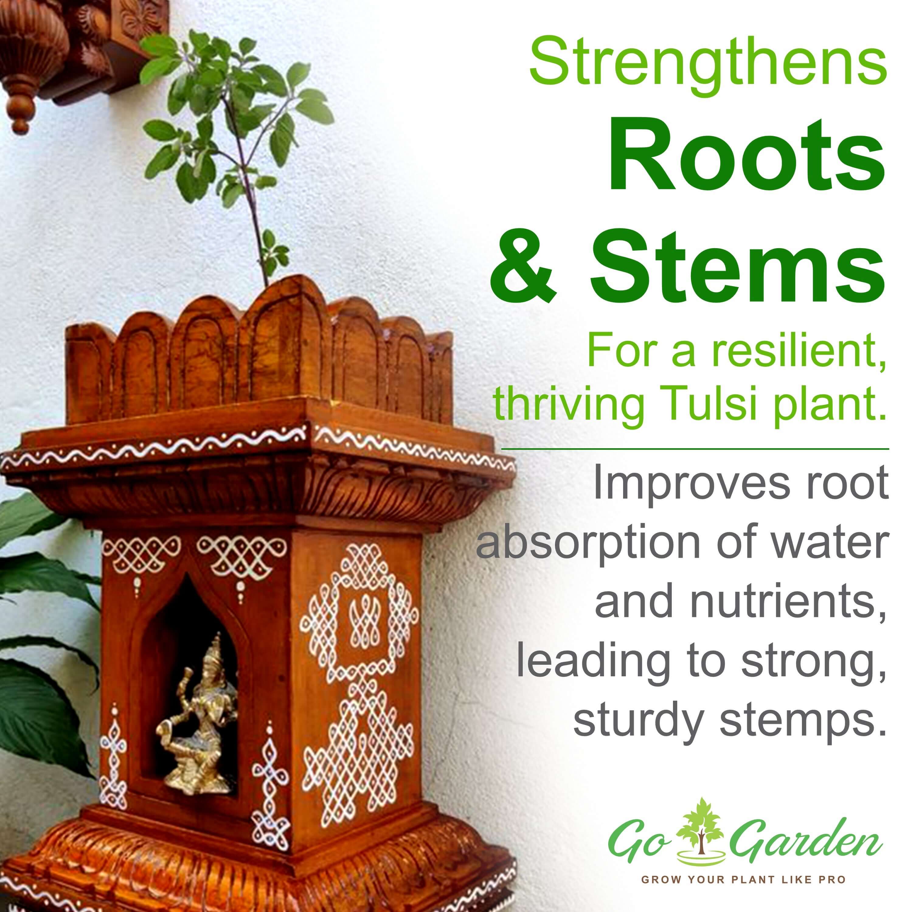 Organic Tulsi Fertilizer for tulsi Plant | Orgnaic natural Fertilizer For holy basil Plant 950 Grams