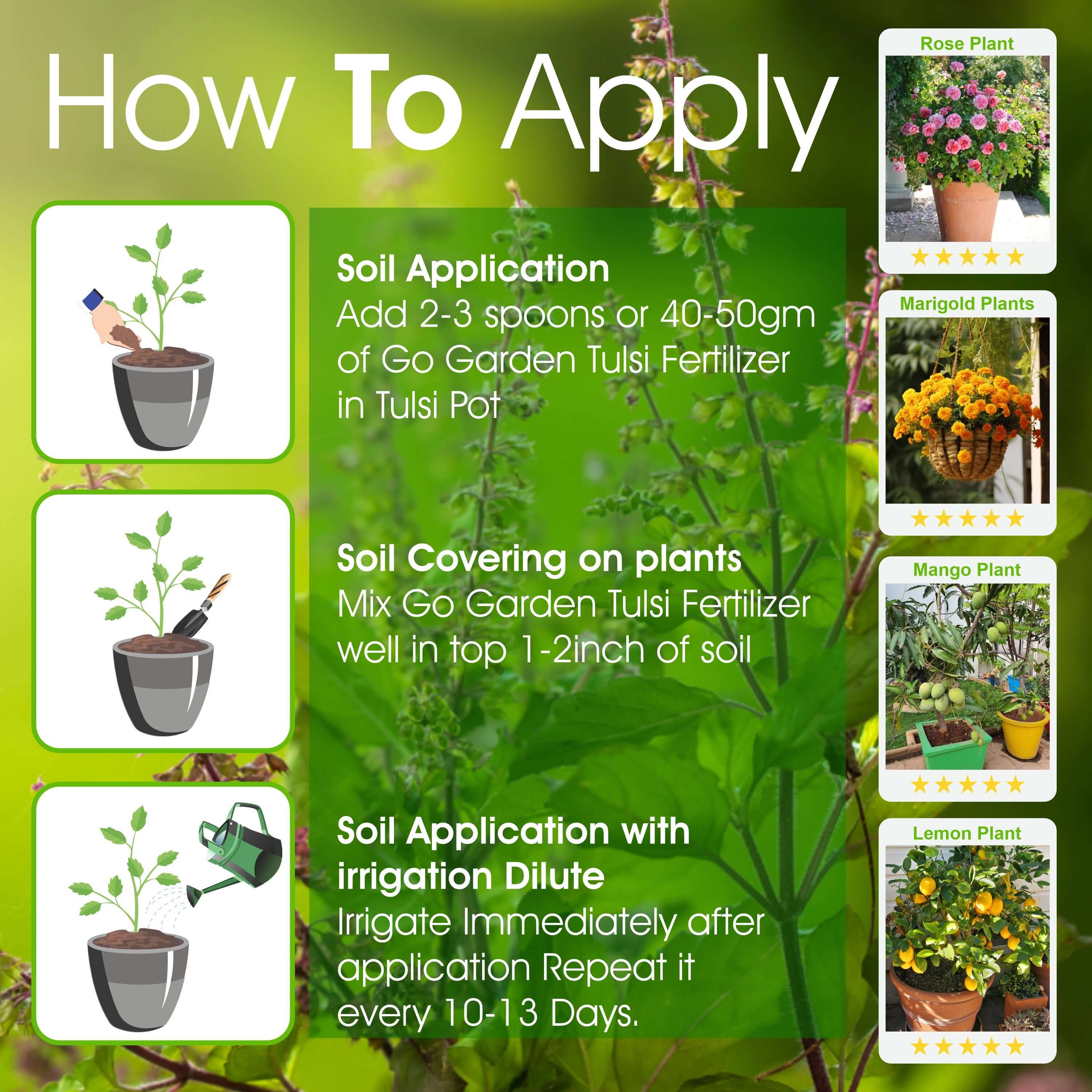 Organic Tulsi Fertilizer for tulsi Plant | Orgnaic natural Fertilizer For holy basil Plant 950 Grams