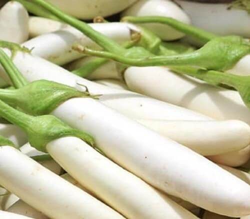 Brinjal Vegetable Seeds (White, Pack of 10g, 1800+ Seeds) Go Garden