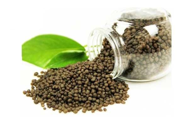 Dap Fertilizer for Plants and Gardening | All Purpose NPK – 18 : 46 : 0 | Water Soluble | 400 Grams