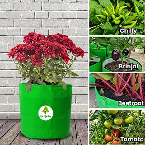 Go Garden HDPE  Gardening Green Grow Bag for Vegetables Fruits Flower, Pack of 10 Grow Bag