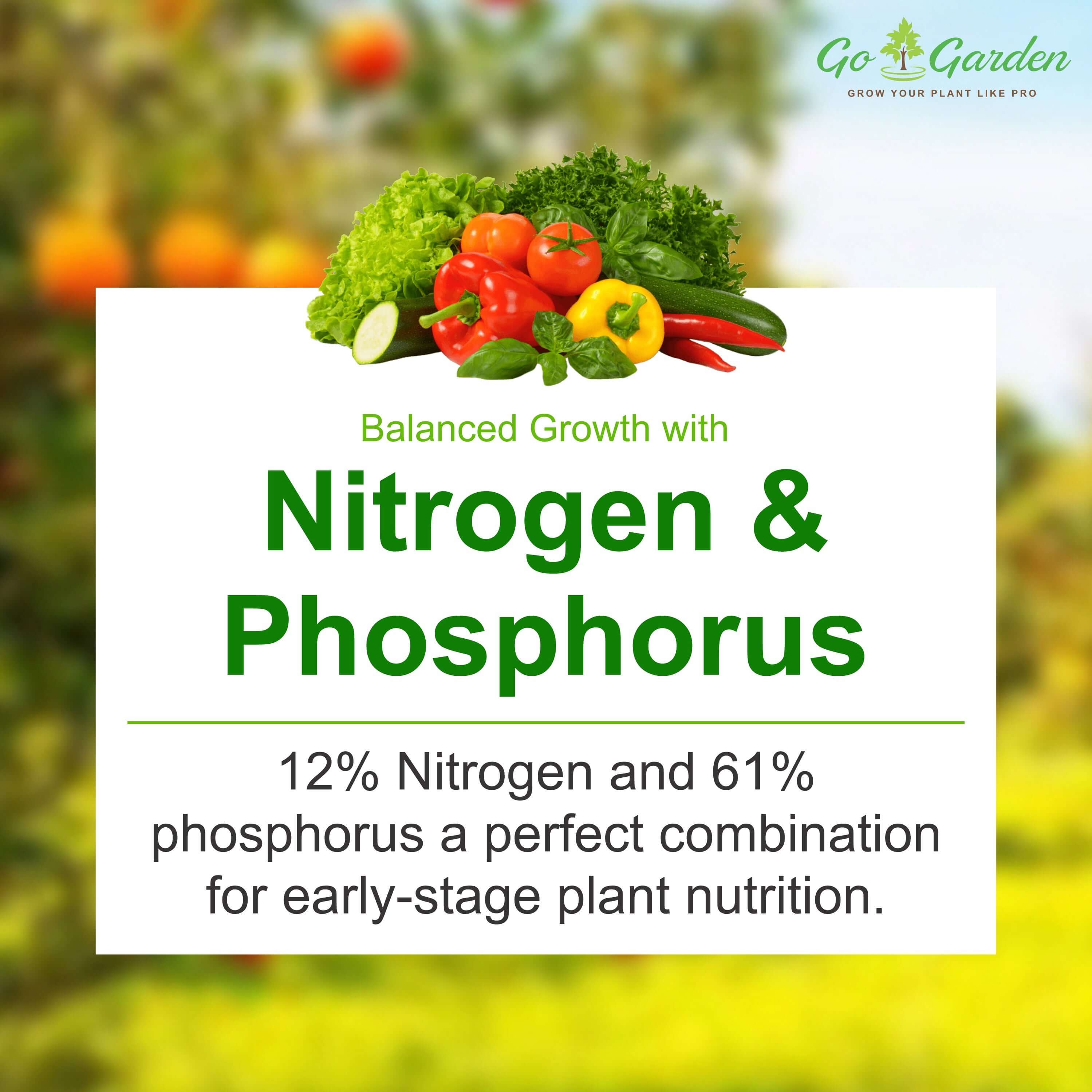 Go Garden MAP Mono Ammonium Phosphate NPK 12-61-00 Fertilizer