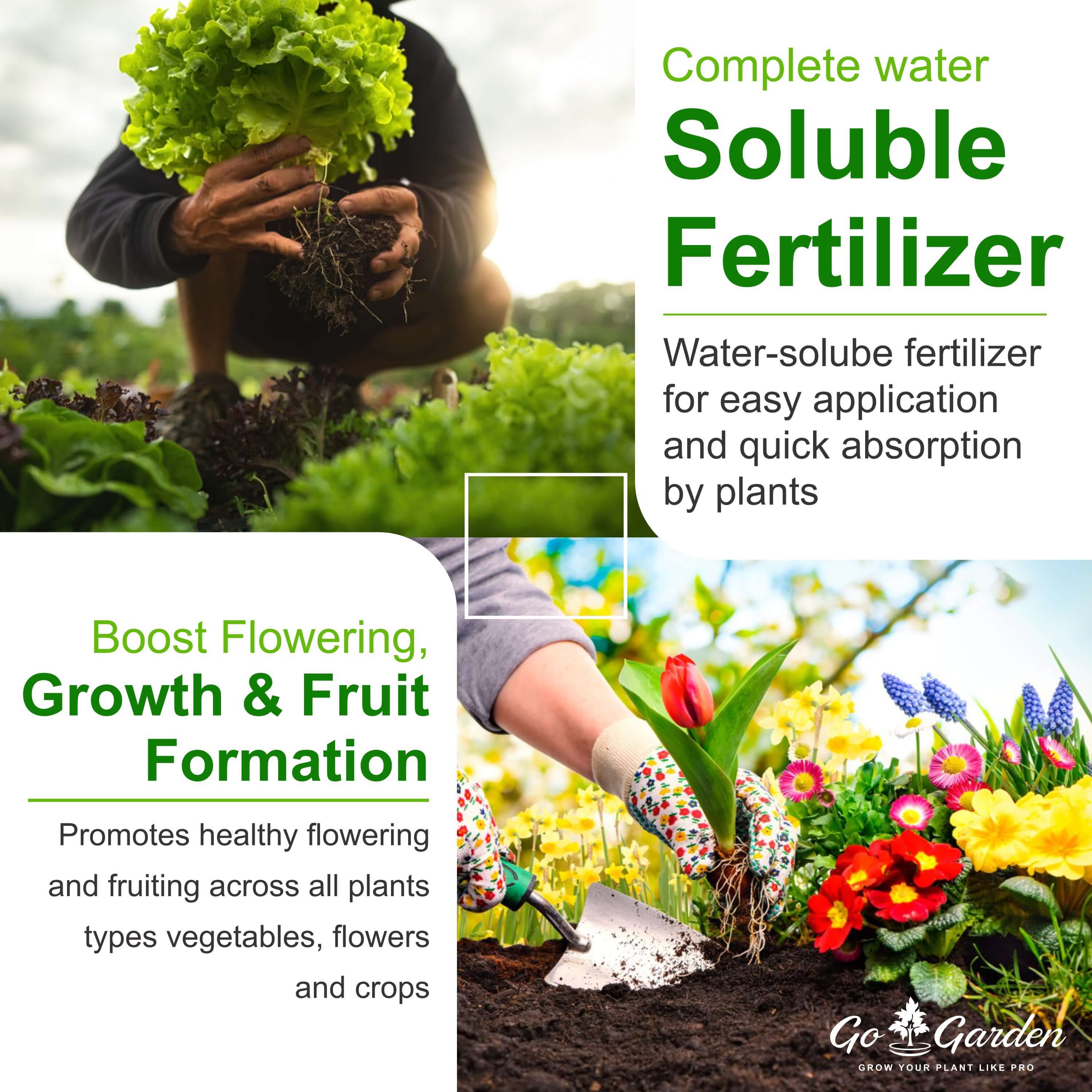 Go Garden MAP Mono Ammonium Phosphate NPK 12-61-00 Fertilizer