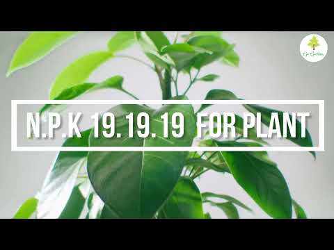 Go Garden NPK 19 19 19 Fertilizer for Plants and Gardening Purpose (450G)