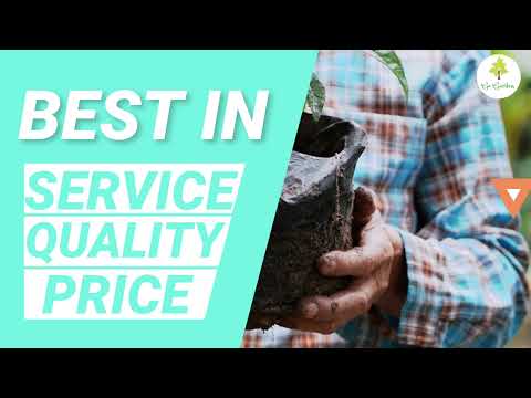 Plant Grow Bags For Gardening – Nursery Plant Bags – Plastic UV Protected Poly Grow Bags | (Black , 5 x 7inch)