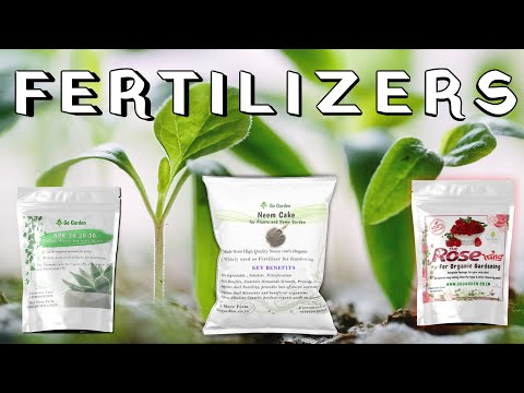 Mustard Cake for Plants and Home Garden – Best Organic Fertilizer