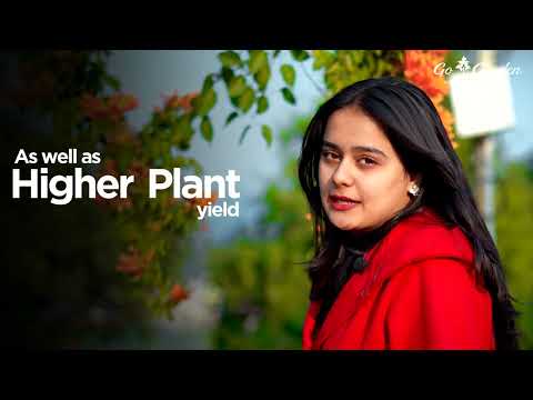 vermicompost for home gardening