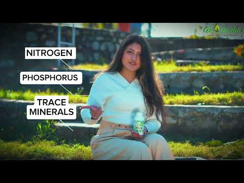 Seaweed Fertilizer for Plants Liquid Concentrate 100% Organic Fertilizer for Plant and Garden Purpose